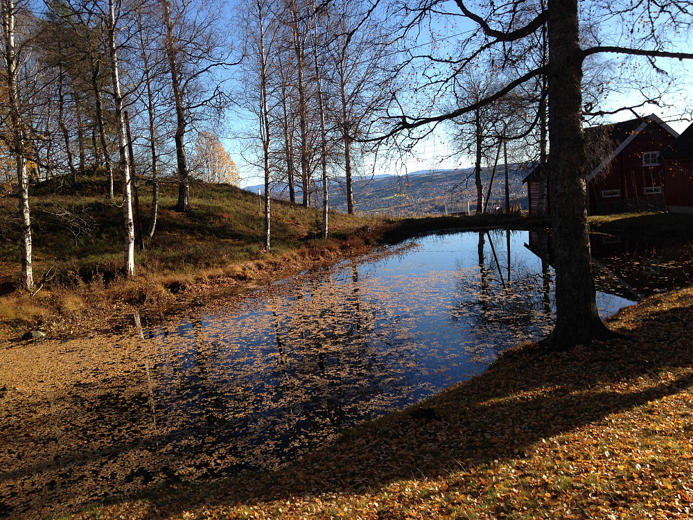 Eiktunet