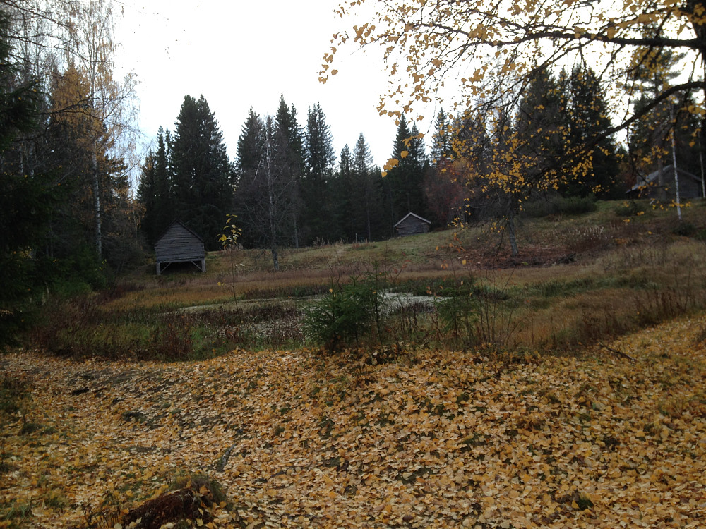Høst på Eiktunet