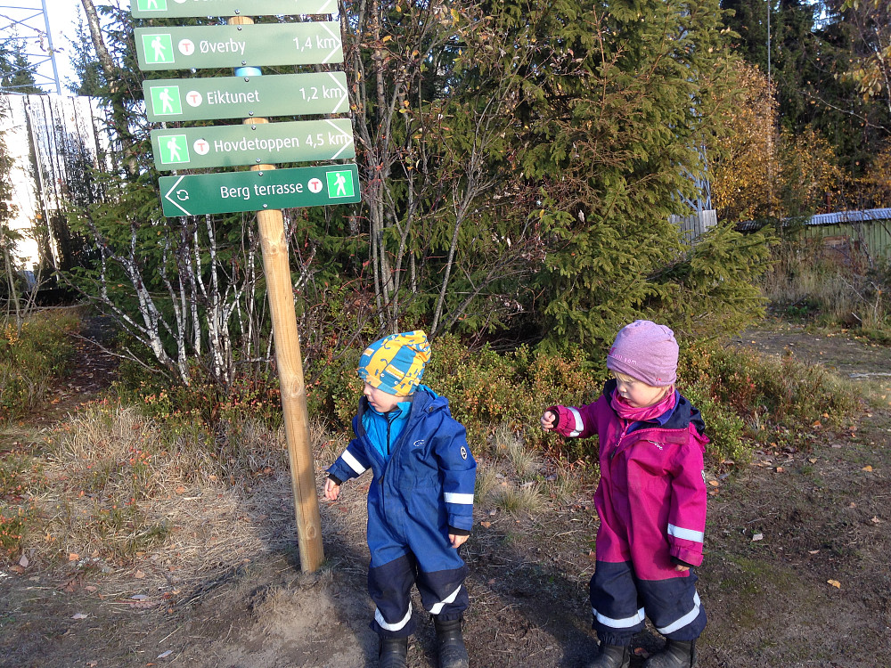 På Bergstoppen