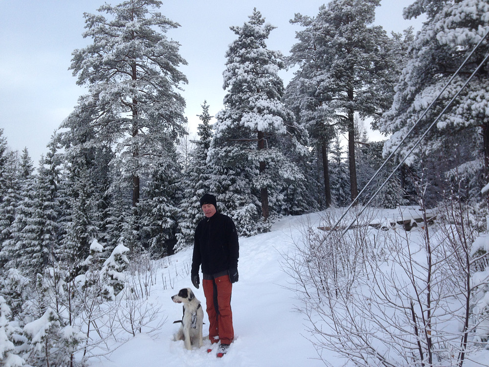 Knapphaugen