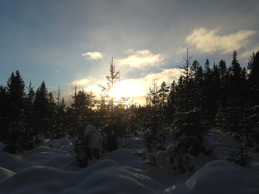 Rene påskestemningen i skogen der det var lunt