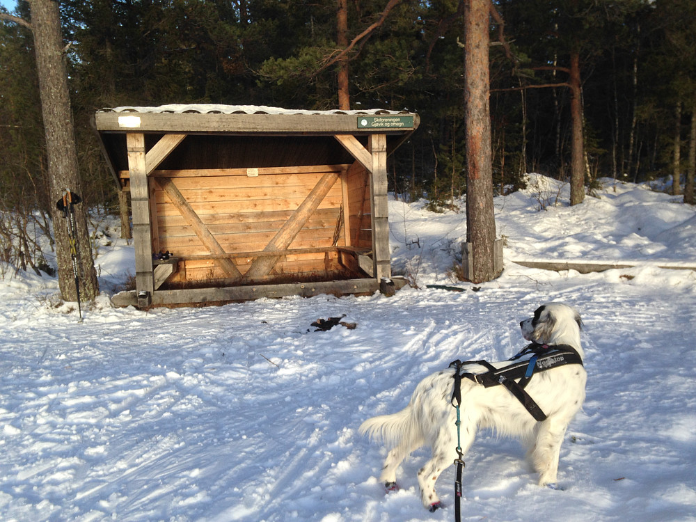 Skiforeningens gapahuk i enden av Rødgardsmyra