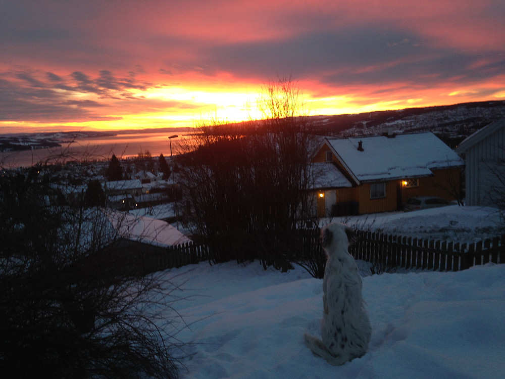 Soloppgang over Mjøsa