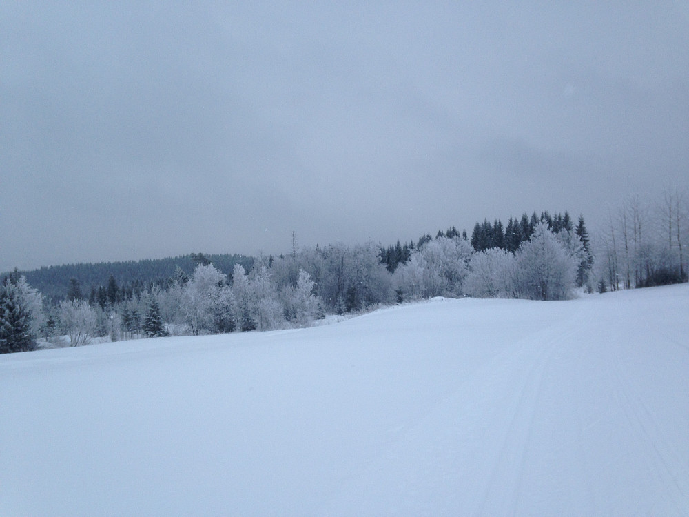 Ved Skistua i dag 