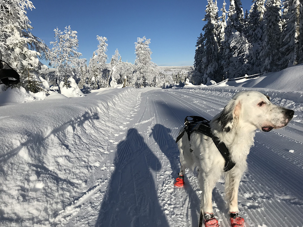 Snertingdal i bakgrunnen