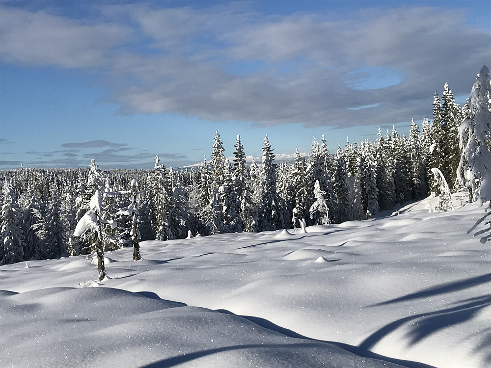 Straks Gravåsen. Synnfjellet skimtes i bakgrunnen. 
