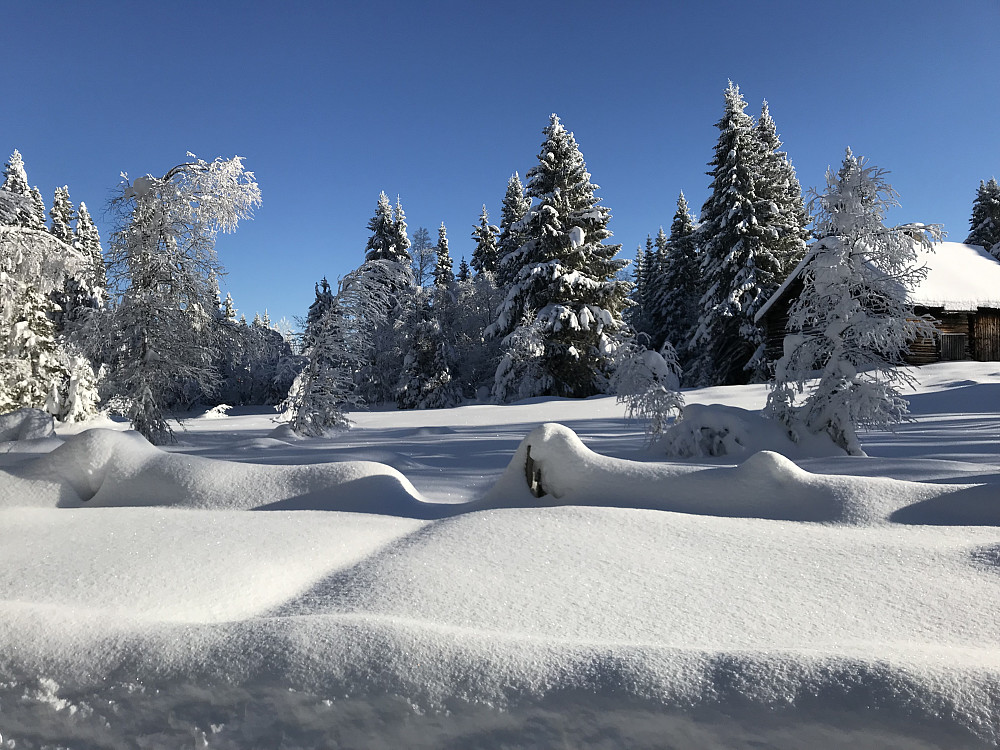 Vinter