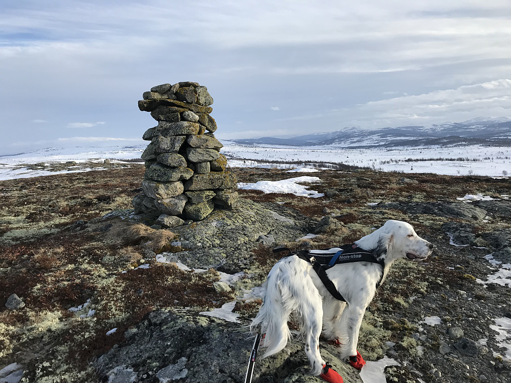 Vetafjellet sør
