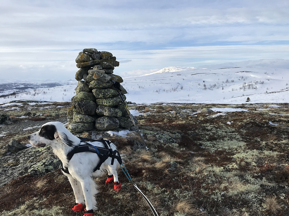 Vetafjellet sør