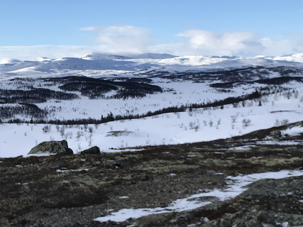 Langsua fra Vetafjellet sør