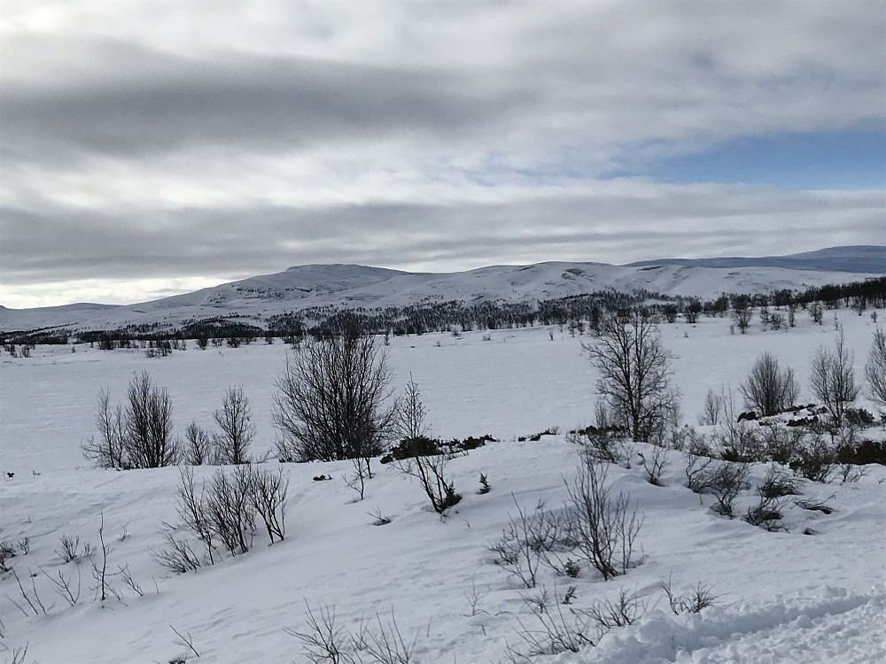 Leppvatnet med Nontjønnskampen bak