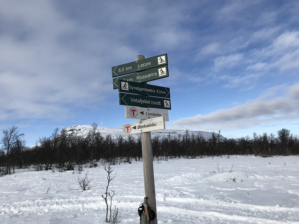 Løypekryss med Ongsjøfjellet bak