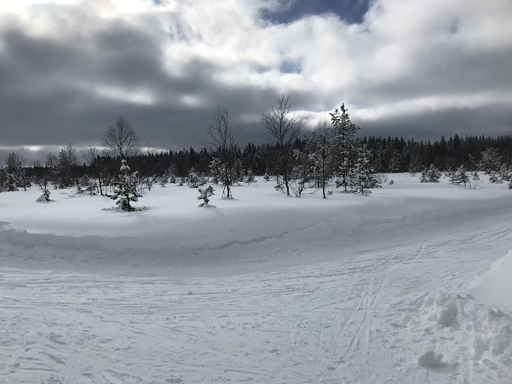 Ved løypekrysset på Rødgardsmyra