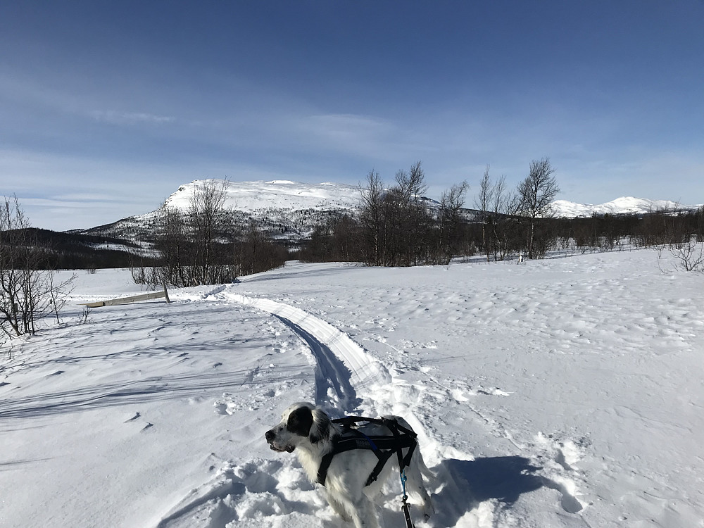 Like før vi når igjen de som lagde spor