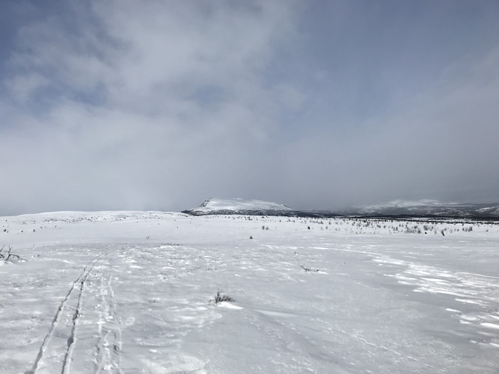 Snøbyge i nord