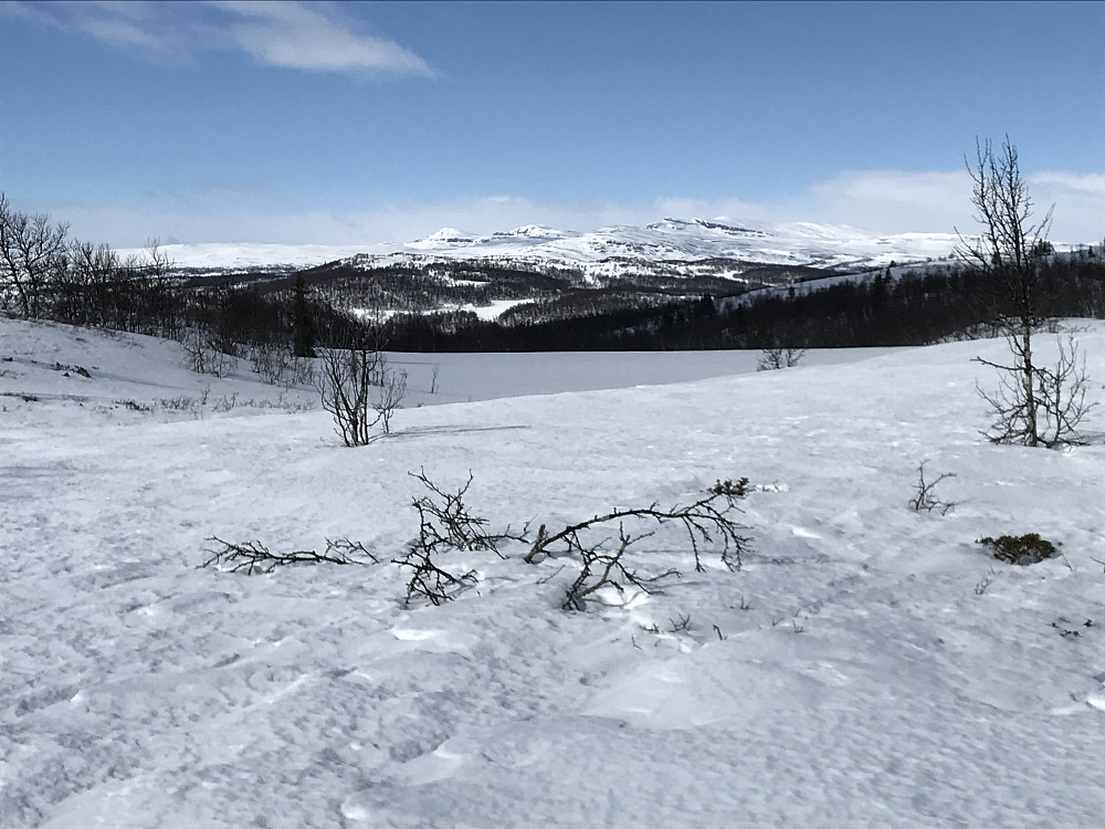 Mot Nordre Langsua