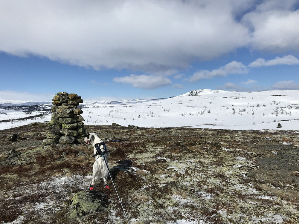 Vetafjellet sør