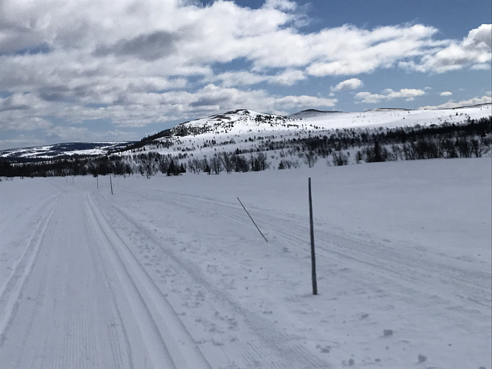 Mossfjellet fra Vestfjell-løypa der vi snudde