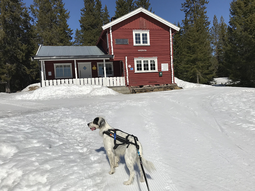 Trym på Mæhlumsetra