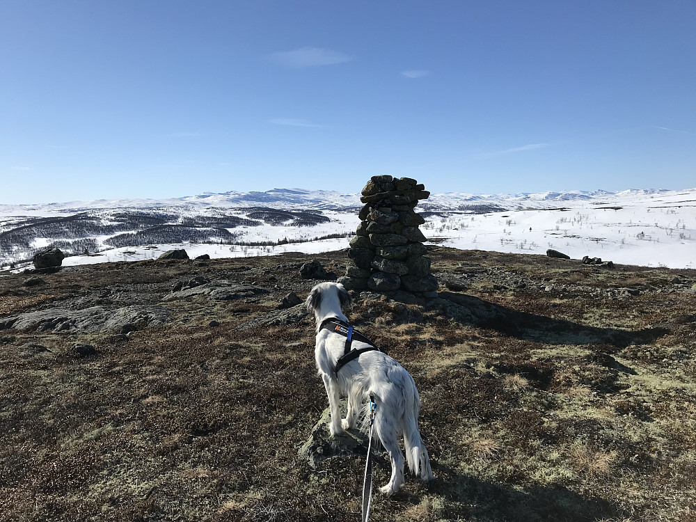 Vetafjellet sør
