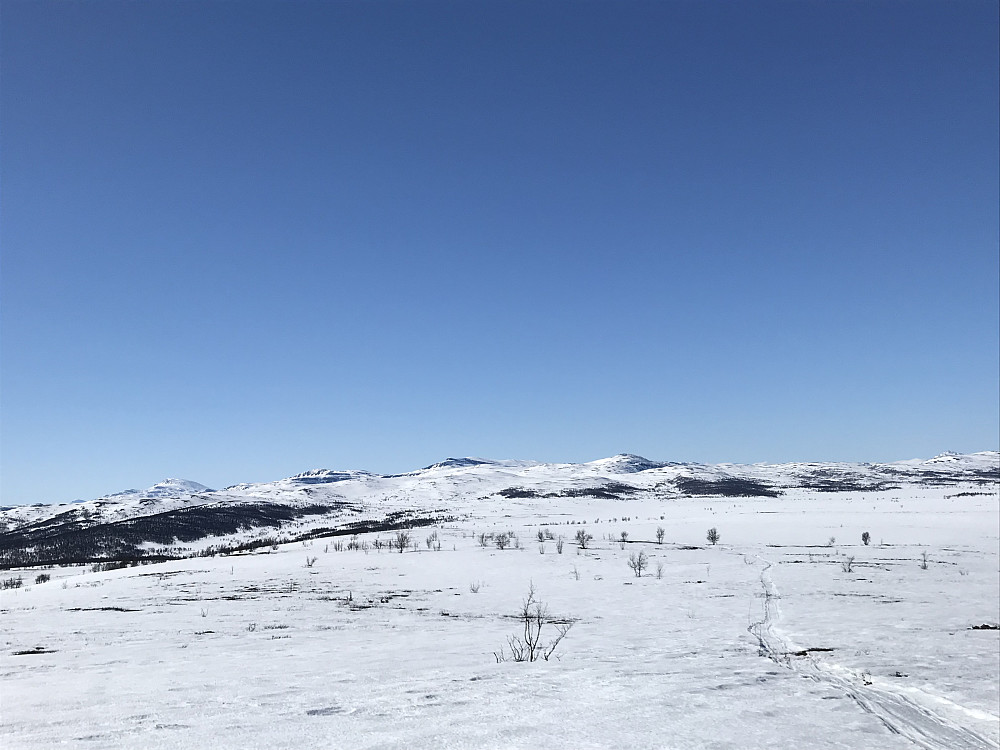 På tur ned fra sørtoppen. Skuterspor fra Liomseter hit. 