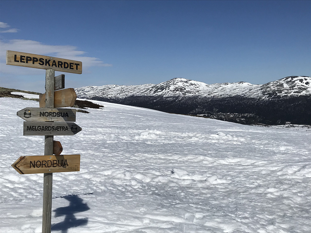 Leppskardet, mot Gråhøer