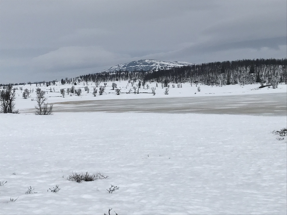 Gryttjønnet med Ongsjøfjellet bak