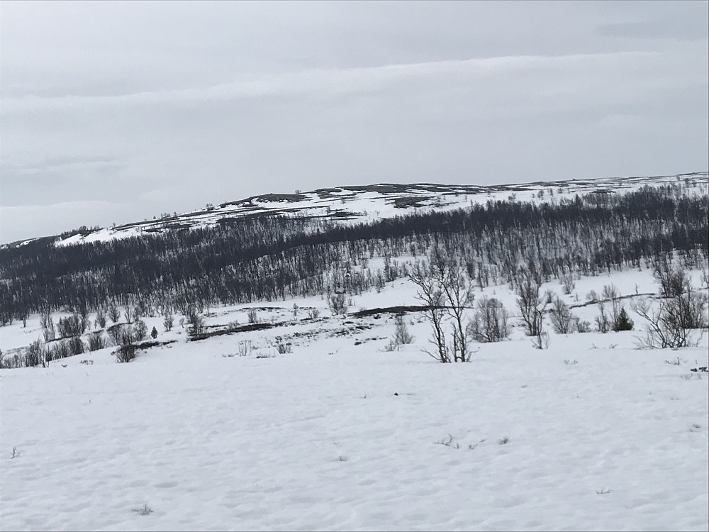 Nordre Revåkampen