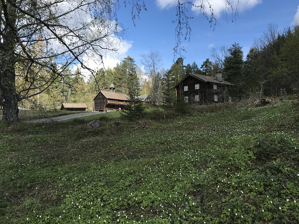 Eiktunet