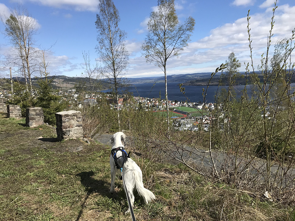 Hovdetoppen, utsikt nordover