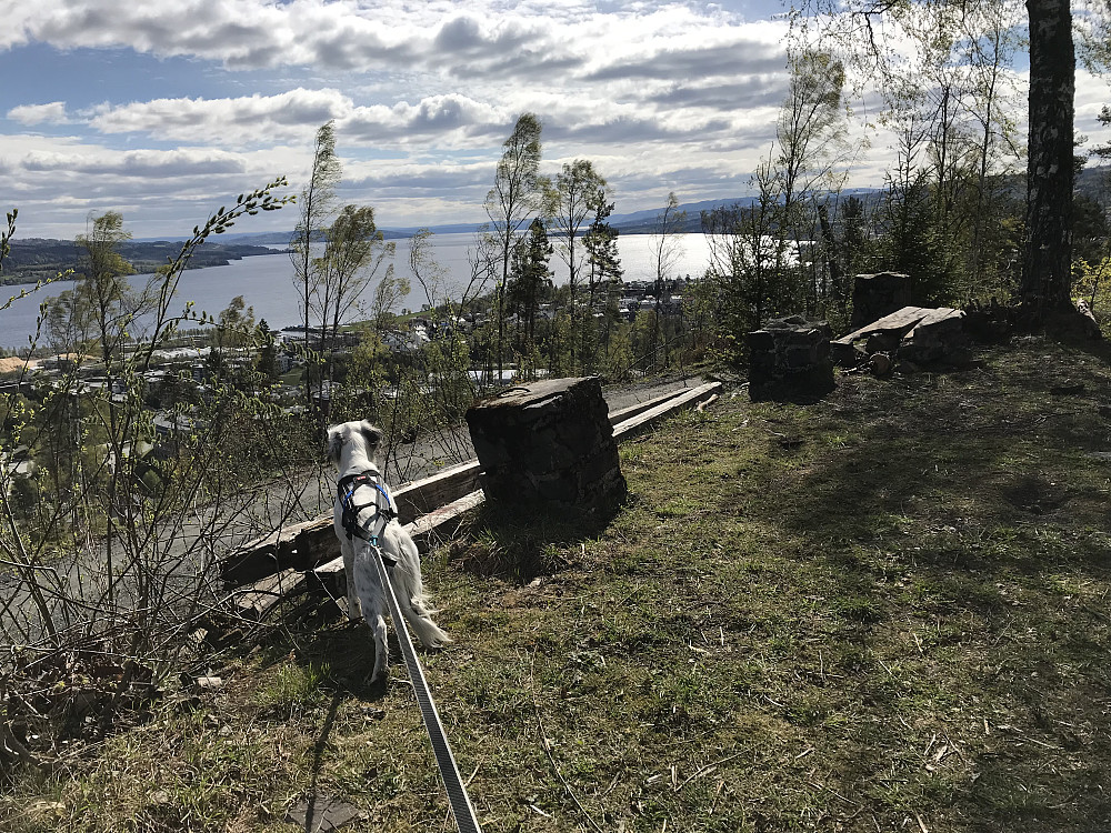Hovdetoppen, utsikt sørover
