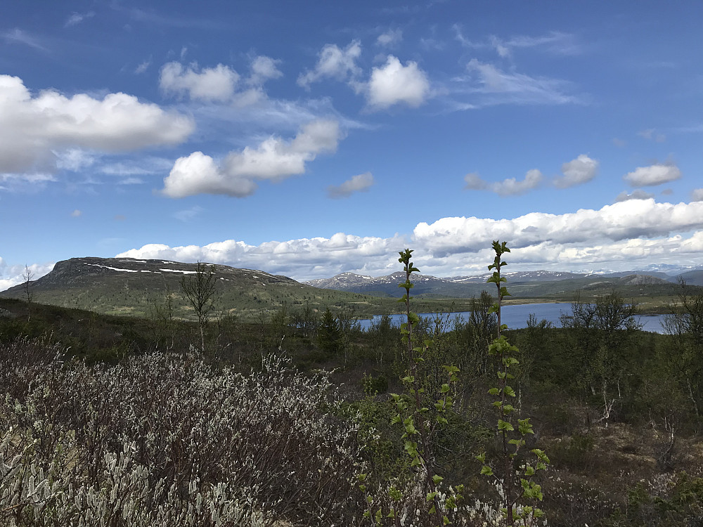 Ongsjøfjellet og Nedre Ongsjøen