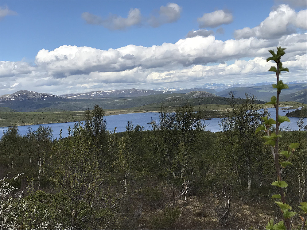 Nedre Ongsjøen. Rondane bak