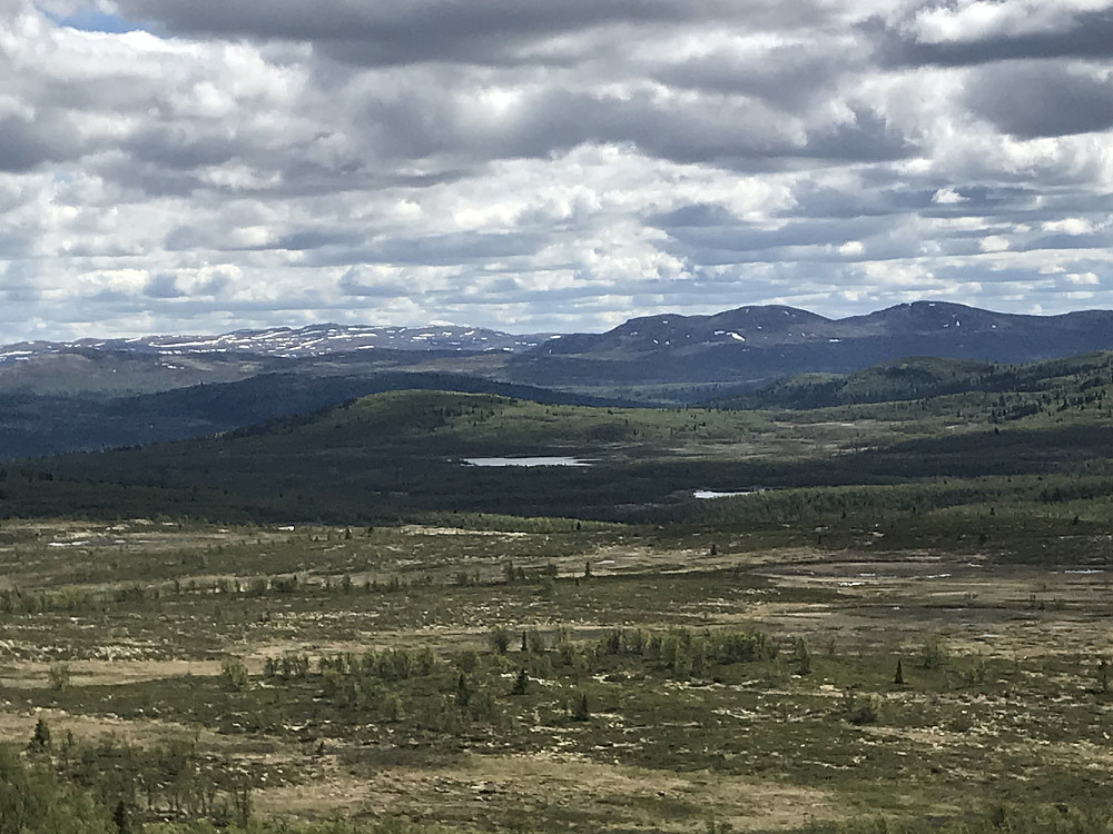 Utsikt mot Synnfjellet og Røssjøkoller fra Vetafjellet
