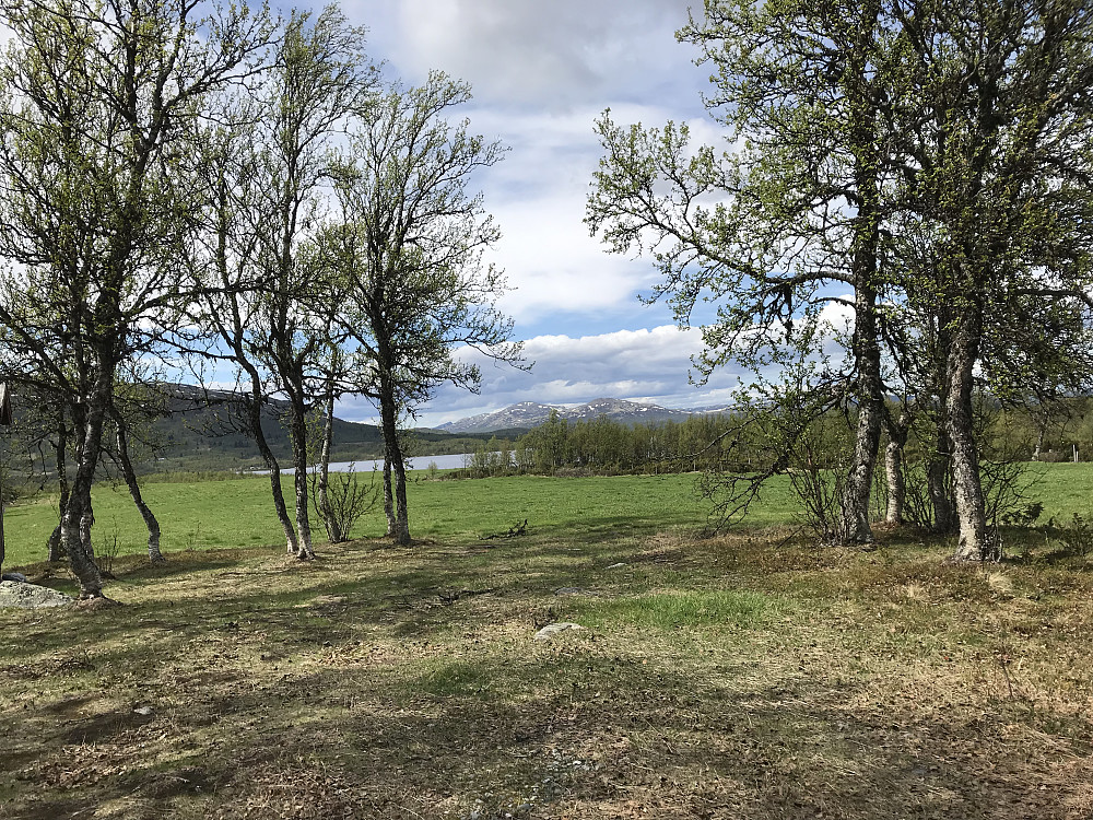 Snart sommer i fjellet. Nedre Ongsjøen, Gråhøer bak