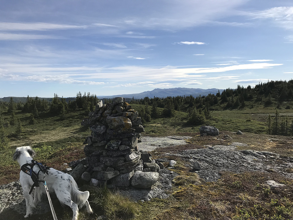 Synnfjellet fra Huletoppen