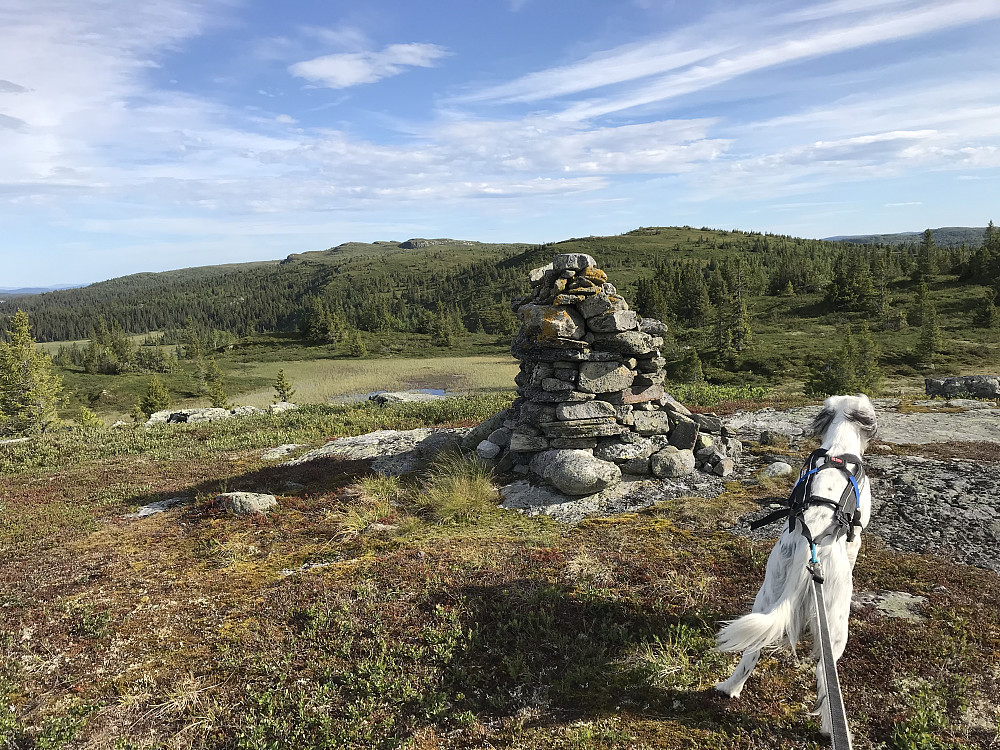 Mot Gammelhans fra Huletoppen