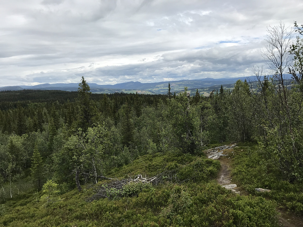 På Vardkampen