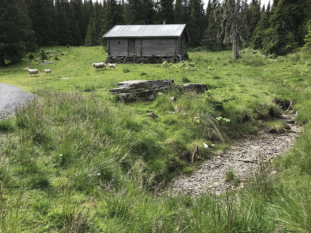 Flatsteinhytta