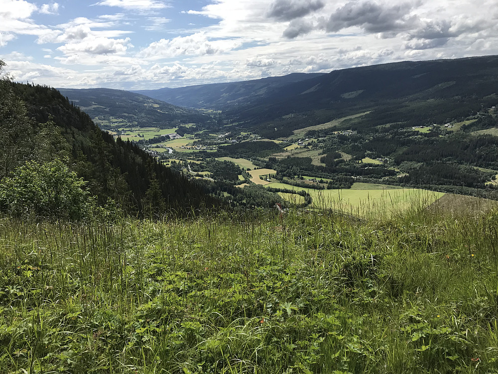 Utsikt fra Hammerberget