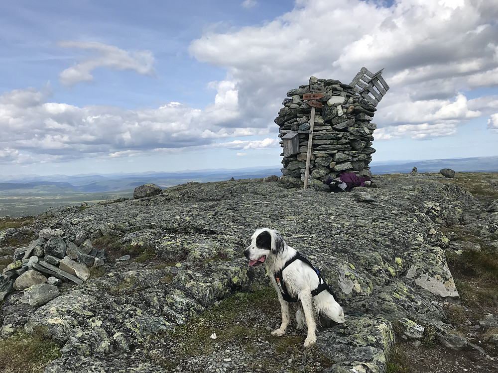 Ongsjøfjellet