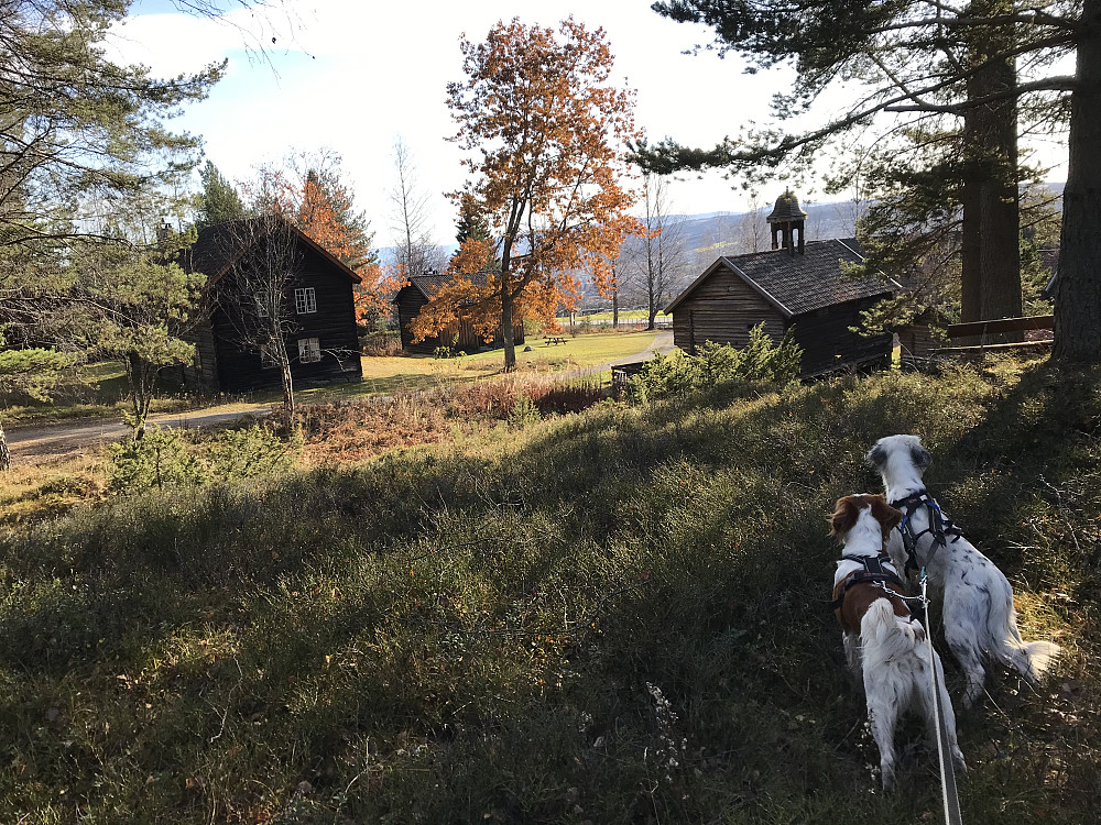 Eiktunet