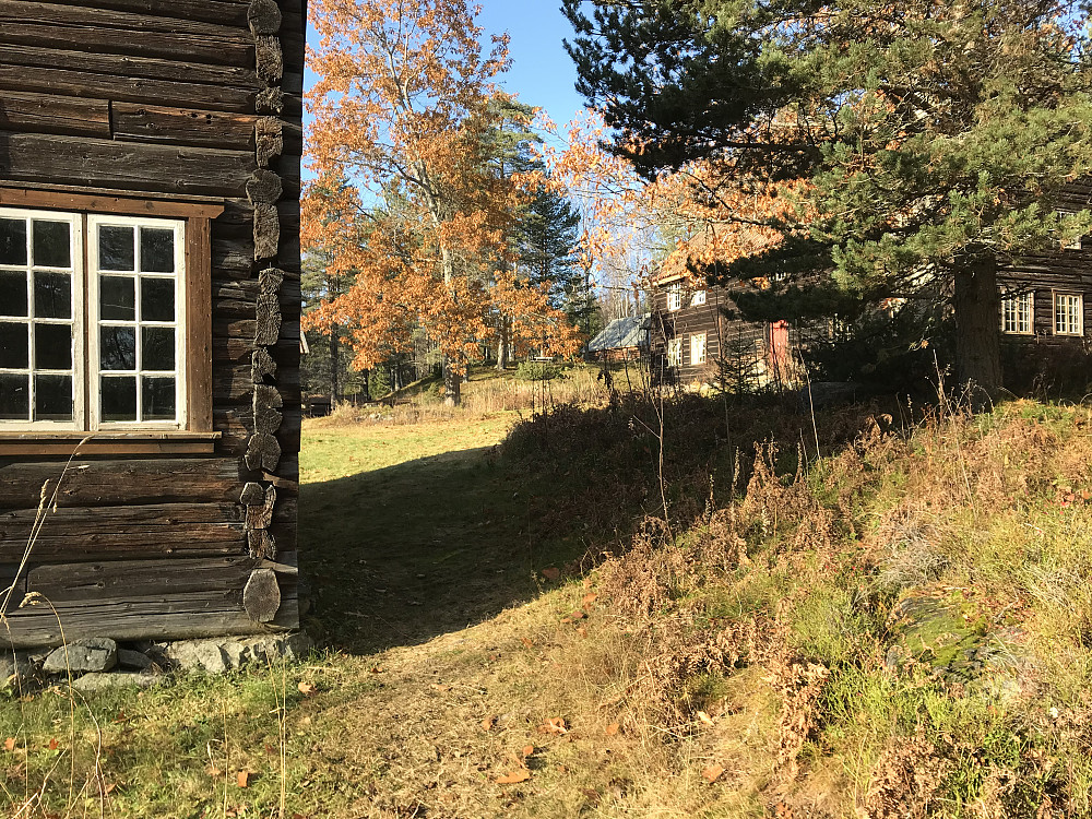 Eiktunet