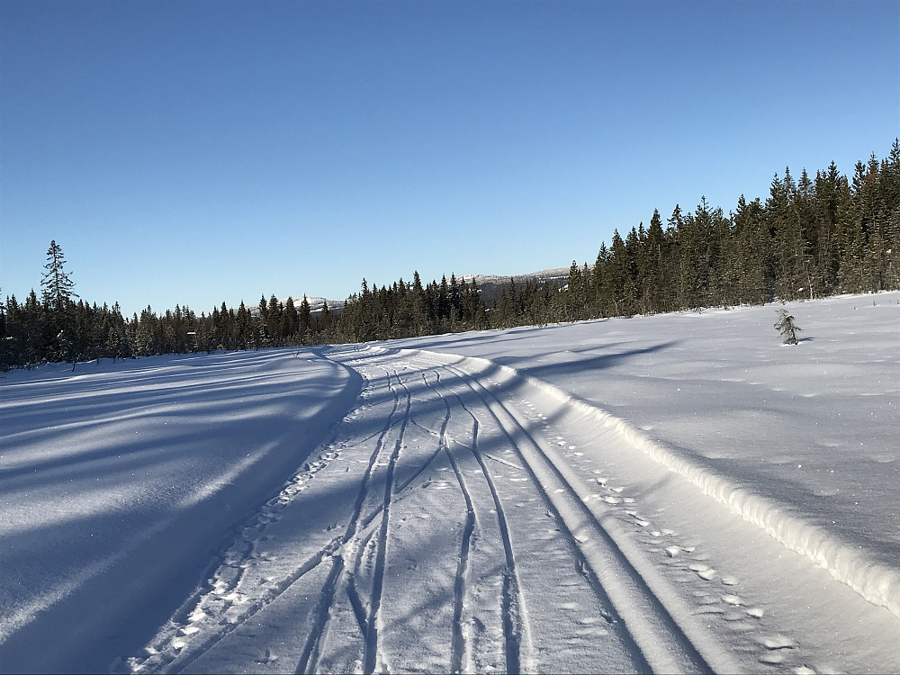På myra ovenfor Solbakken. Åsen på andre sida av Snertingdal i bakgrunnen.