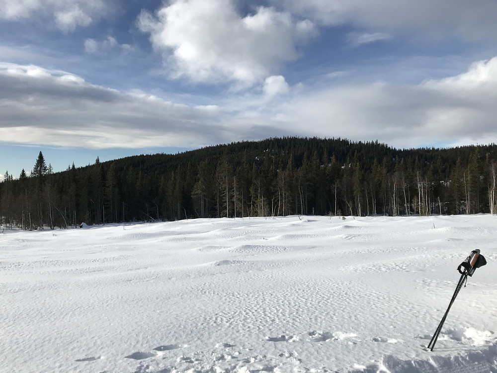 Venolhøgda