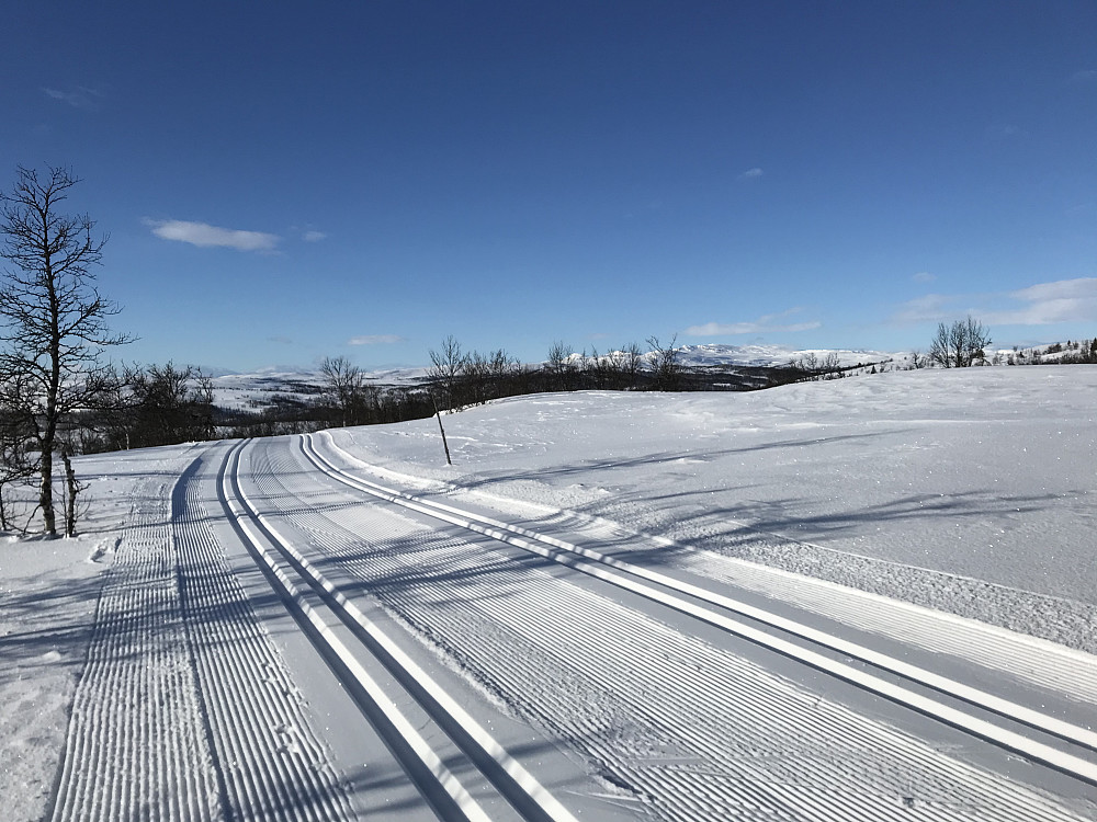 Flotte løyper i dag