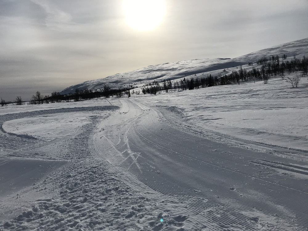 Ongsjøfjellet fra løypekryss ved Jentfjellet
