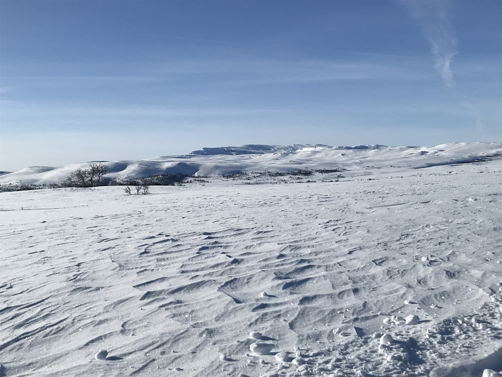 Storkvolven og Nordre Langsua