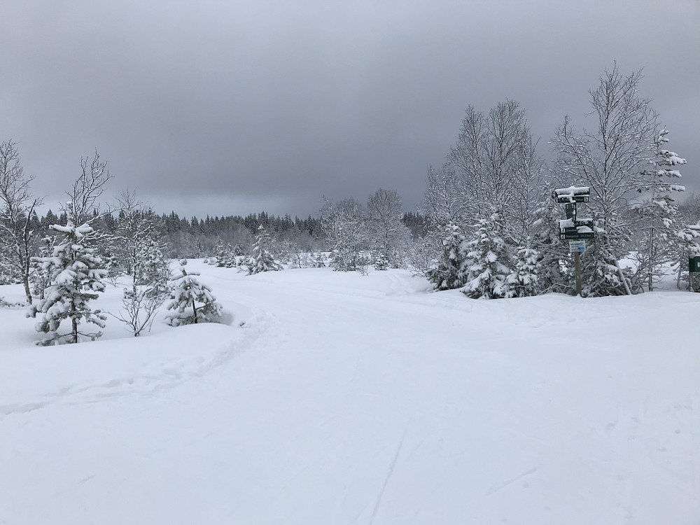 Løypekrysset på Rødgardsmyra