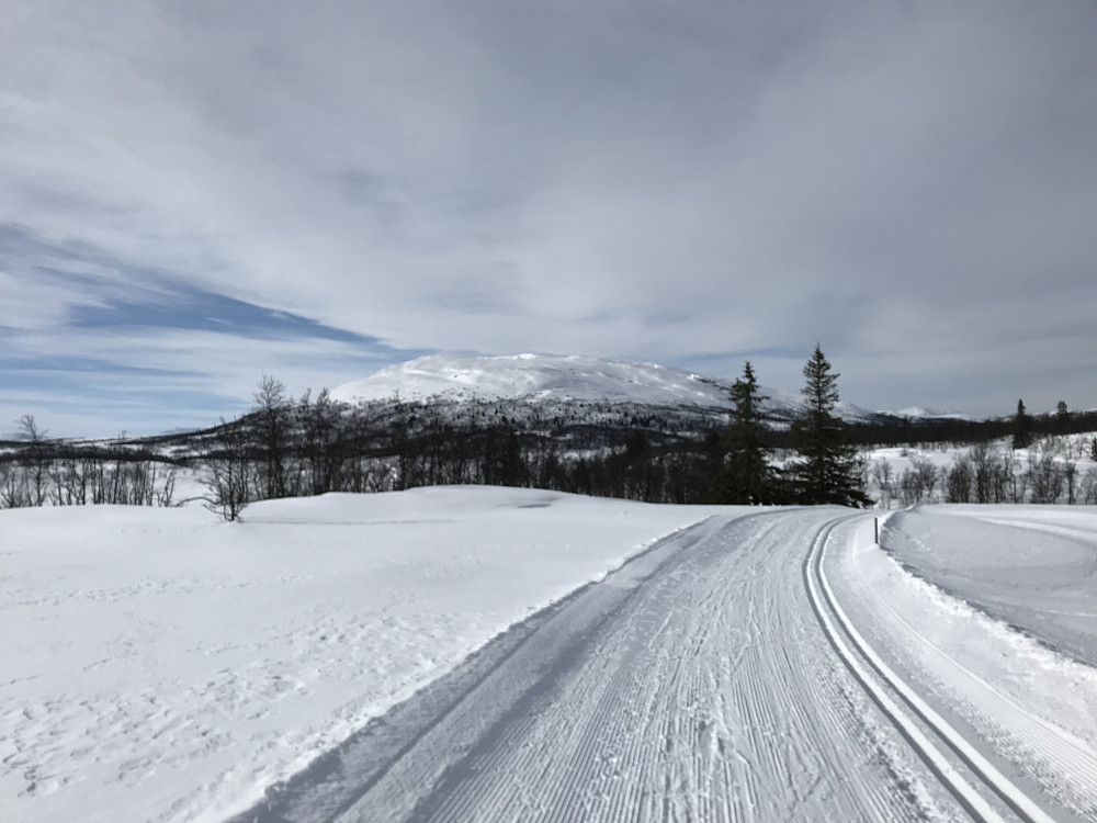 Ongsjøfjellet